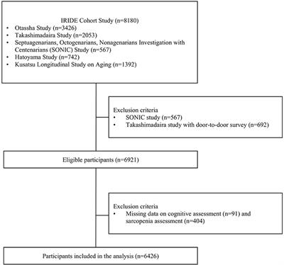 Age- and sex-specific associations between sarcopenia severity and poor cognitive function among community-dwelling older adults in Japan: The IRIDE Cohort Study